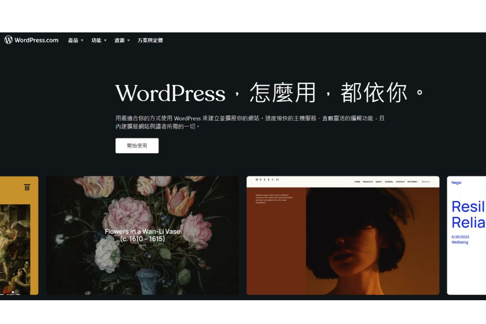 1.WordPress